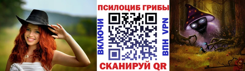 Псилоцибиновые грибы GOLDEN TEACHER  Купить закладки  Елец 